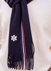 L'écharpe Tricolore Homme